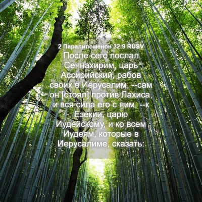 Picture 04 - 2 Паралипоменон 32:9 RUSV - После сего послал - Bible Verse Picture