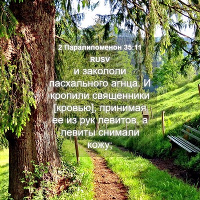 Picture 04 - 2 Паралипоменон 35:11 RUSV - и закололи пасхального - Bible Verse Picture