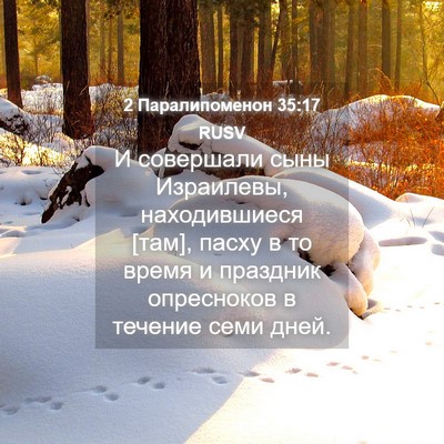 Picture 04 - 2 Паралипоменон 35:17 RUSV - И совершали сыны - Bible Verse Picture