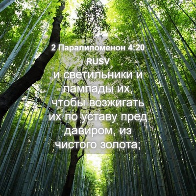 Picture 04 - 2 Паралипоменон 4:20 RUSV - и светильники и лампады их, - Bible Verse Picture