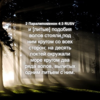 Picture 04 - 2 Паралипоменон 4:3 RUSV - и [литые] подобия волов - Bible Verse Picture