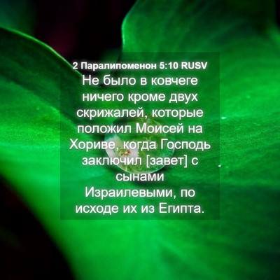 Picture 04 - 2 Паралипоменон 5:10 RUSV - Не было в ковчеге ничего - Bible Verse Picture