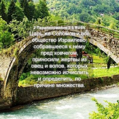Picture 04 - 2 Паралипоменон 5:6 RUSV - Царь же Соломон и все - Bible Verse Picture