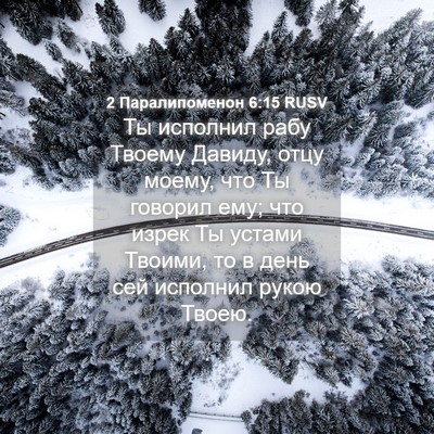 Picture 04 - 2 Паралипоменон 6:15 RUSV - Ты исполнил рабу Твоему - Bible Verse Picture