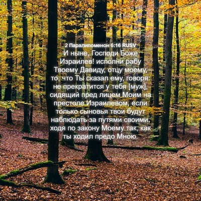 Picture 04 - 2 Паралипоменон 6:16 RUSV - И ныне, Господи Боже - Bible Verse Picture