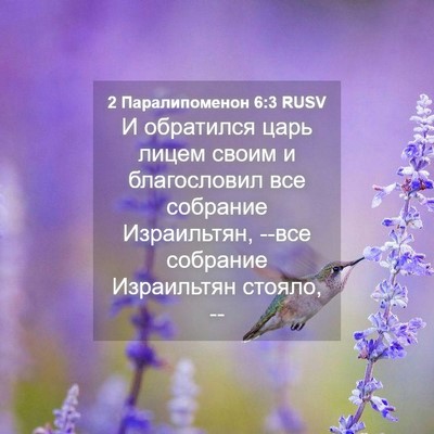 Picture 04 - 2 Паралипоменон 6:3 RUSV - И обратился царь лицем - Bible Verse Picture