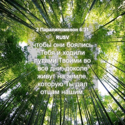 Picture 04 - 2 Паралипоменон 6:31 RUSV - чтобы они боялись Тебя и - Bible Verse Picture
