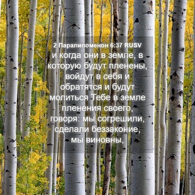 Picture 04 - 2 Паралипоменон 6:37 RUSV - и когда они в земле, в - Bible Verse Picture