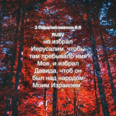 Picture 04 - 2 Паралипоменон 6:6 RUSV - но избрал Иерусалим, чтобы - Bible Verse Picture