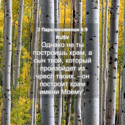 Picture 04 - 2 Паралипоменон 6:9 RUSV - Однако не ты построишь - Bible Verse Picture