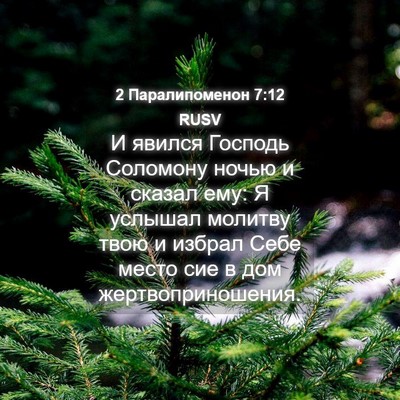Picture 04 - 2 Паралипоменон 7:12 RUSV - И явился Господь Соломону - Bible Verse Picture