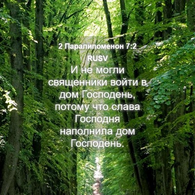 Picture 04 - 2 Паралипоменон 7:2 RUSV - И не могли священники - Bible Verse Picture