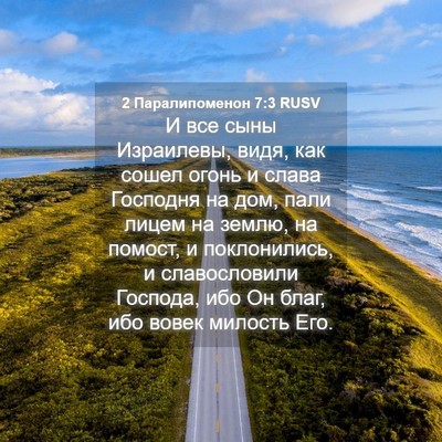Picture 04 - 2 Паралипоменон 7:3 RUSV - И все сыны Израилевы, видя, - Bible Verse Picture