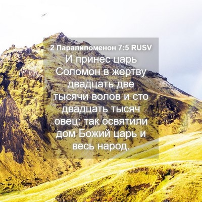 Picture 04 - 2 Паралипоменон 7:5 RUSV - И принес царь Соломон в - Bible Verse Picture