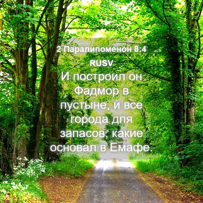 Picture 04 - 2 Паралипоменон 8:4 RUSV - И построил он Фадмор в - Bible Verse Picture