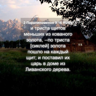 Picture 04 - 2 Паралипоменон 9:16 RUSV - и триста щитов меньших из - Bible Verse Picture