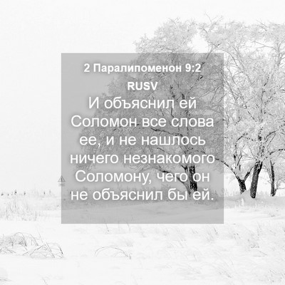 Picture 04 - 2 Паралипоменон 9:2 RUSV - И объяснил ей Соломон все - Bible Verse Picture