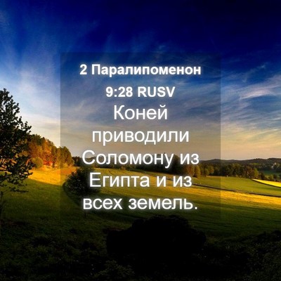 Picture 04 - 2 Паралипоменон 9:28 RUSV - Коней приводили Соломону - Bible Verse Picture