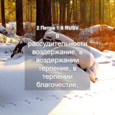 Picture 04 - 2 Петра 1:6 RUSV - в рассудительности - Bible Verse Picture