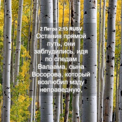 Picture 04 - 2 Петра 2:15 RUSV - Оставив прямой путь, они - Bible Verse Picture
