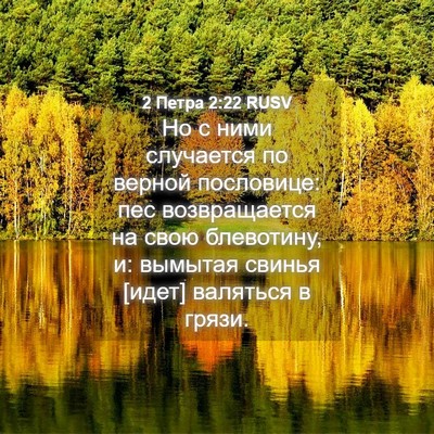 Picture 04 - 2 Петра 2:22 RUSV - Но с ними случается по - Bible Verse Picture