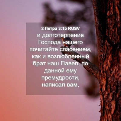 Picture 04 - 2 Петра 3:15 RUSV - и долготерпение Господа - Bible Verse Picture