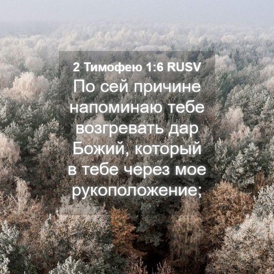 Picture 04 - 2 Тимофею 1:6 RUSV - По сей причине напоминаю - Bible Verse Picture