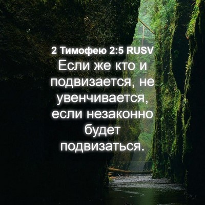 Picture 04 - 2 Тимофею 2:5 RUSV - Если же кто и подвизается, - Bible Verse Picture