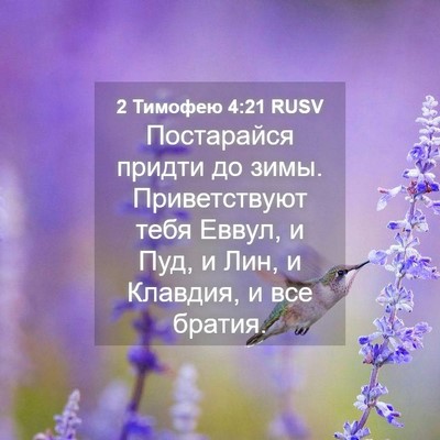 Picture 04 - 2 Тимофею 4:21 RUSV - Постарайся придти до зимы. - Bible Verse Picture