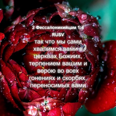 Picture 04 - 2 Фессалоникийцам 1:4 RUSV - так что мы сами хвалимся - Bible Verse Picture