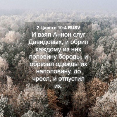 Picture 04 - 2 Царств 10:4 RUSV - И взял Аннон слуг - Bible Verse Picture
