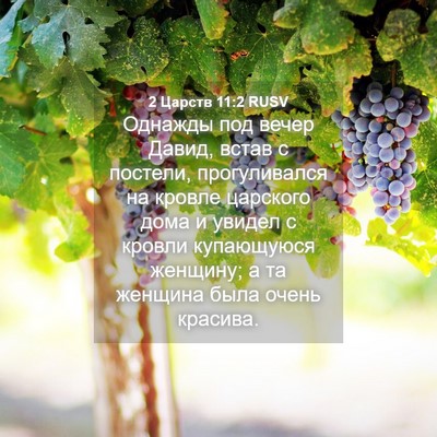 Picture 04 - 2 Царств 11:2 RUSV - Однажды под вечер Давид, - Bible Verse Picture