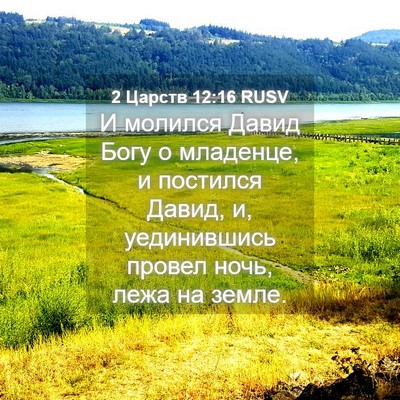 Picture 04 - 2 Царств 12:16 RUSV - И молился Давид Богу о - Bible Verse Picture