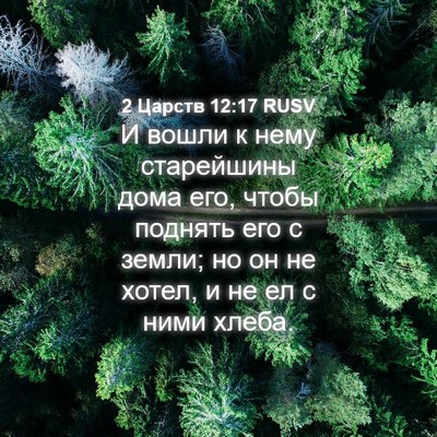 Picture 04 - 2 Царств 12:17 RUSV - И вошли к нему старейшины - Bible Verse Picture
