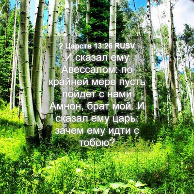 Picture 04 - 2 Царств 13:26 RUSV - И сказал ему Авессалом: по - Bible Verse Picture