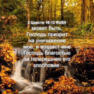 Picture 04 - 2 Царств 16:12 RUSV - может быть, Господь - Bible Verse Picture