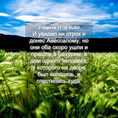 Picture 04 - 2 Царств 17:18 RUSV - И увидел их отрок и донес - Bible Verse Picture