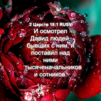 Picture 04 - 2 Царств 18:1 RUSV - И осмотрел Давид людей, - Bible Verse Picture