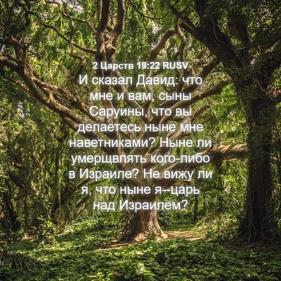 Picture 04 - 2 Царств 19:22 RUSV - И сказал Давид: что мне и - Bible Verse Picture