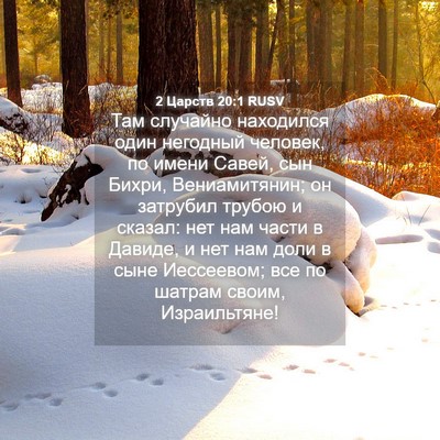Picture 04 - 2 Царств 20:1 RUSV - Там случайно находился - Bible Verse Picture