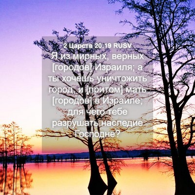Picture 04 - 2 Царств 20:19 RUSV - Я из мирных, верных - Bible Verse Picture
