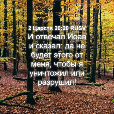 Picture 04 - 2 Царств 20:20 RUSV - И отвечал Иоав и сказал: да - Bible Verse Picture