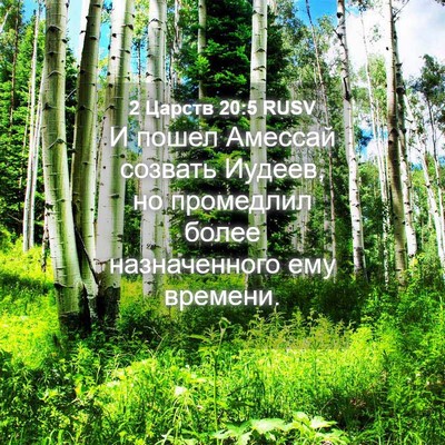 Picture 04 - 2 Царств 20:5 RUSV - И пошел Амессай созвать - Bible Verse Picture