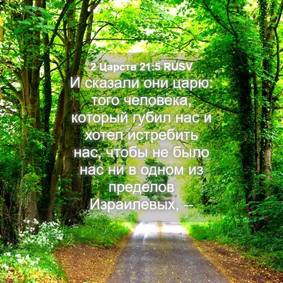 Picture 04 - 2 Царств 21:5 RUSV - И сказали они царю: того - Bible Verse Picture