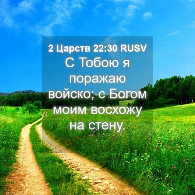 Picture 04 - 2 Царств 22:30 RUSV - С Тобою я поражаю войско; с - Bible Verse Picture