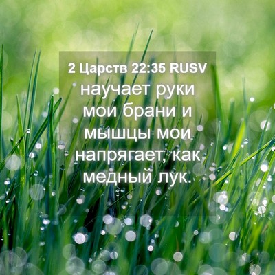 Picture 04 - 2 Царств 22:35 RUSV - научает руки мои брани и - Bible Verse Picture
