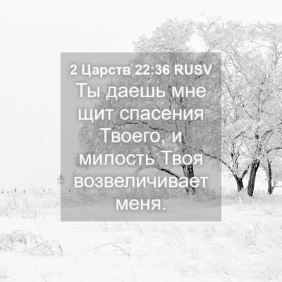 Picture 04 - 2 Царств 22:36 RUSV - Ты даешь мне щит спасения - Bible Verse Picture
