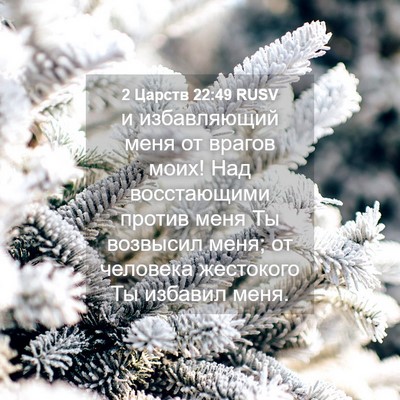 Picture 04 - 2 Царств 22:49 RUSV - и избавляющий меня от - Bible Verse Picture