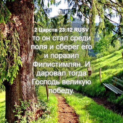 Picture 04 - 2 Царств 23:12 RUSV - то он стал среди поля и - Bible Verse Picture