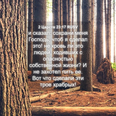 Picture 04 - 2 Царств 23:17 RUSV - и сказал: сохрани меня - Bible Verse Picture
